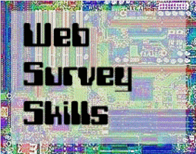 Web Survey